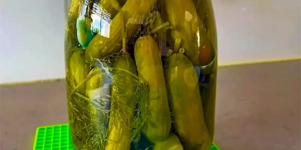 מלפפונים חמוצים של סבתא