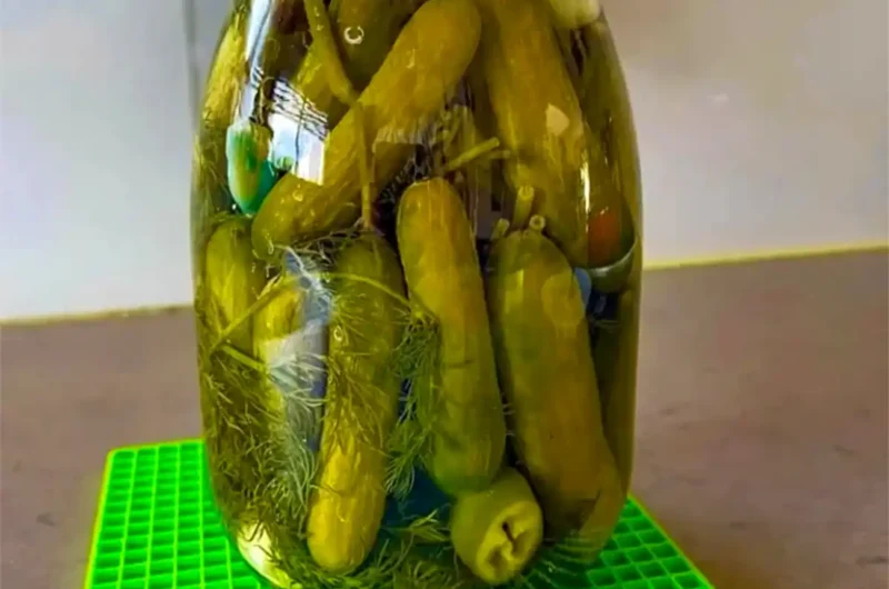 מלפפונים חמוצים של סבתא